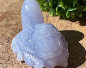 Blue Lace Agate Turtle - Crystal Carving - Collector’s Agate