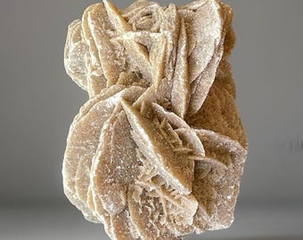 Sand Selenite Collectors Specimen, GYPSUM VAR. SELENITE, Natural Sand Dune Gypsum Crystal Cluster, Rare Find
