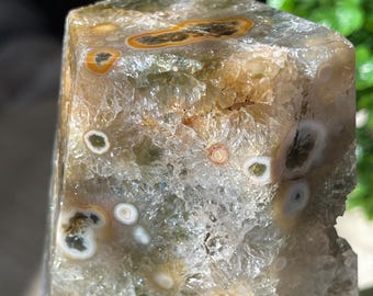 Orbicular Ocean Jasper Crystal Freeform, Marovato Bubble Jasper with Quartz Flowers, Collectors Floral Ocean Jasper