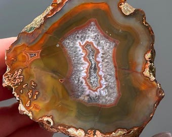 Condor Agate from Argentina, Natural Agate Front Polished Half Nodule Specime
