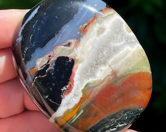 Spectacular Black Red & Green Zebra Jasper Palmstone, Polished Crystal, Natural Unique Rock