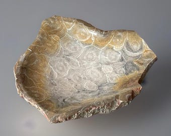 Fossilized Coral Bowl from Indonesia, Trinket plate, Crystal Dish for Jewelry, Natural Fossil for the Home Decor