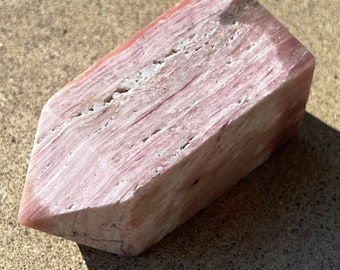 Petrified Wood Mini Tower | Third Eye chakra | Crystal gifts | AAA Grade