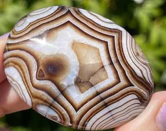Chocolate Banded Agate Crystal Palmstone, Unique Abstract Polished Rock (226)