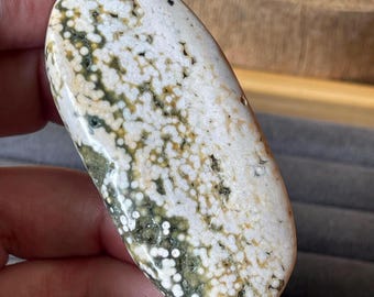 Orbicular Ocean Jasper Palmstone: Madagascar Crystal Pocket Rock (16)