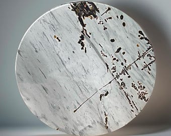 Picture Jasper XL Round Slab: Dendritic Scenic Carving, natural Stone House Decor (469)