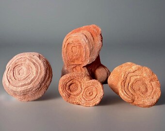 Decorative Stromatolite ancient Fossil from Morocco: Calcium Carbonate from Atlas Mountains of Morocco - You Pick