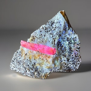 May include: A raw mineral specimen featuring a vibrant, elongated hot pink crystal embedded horizontally within a textured, multi-colored matrix. The surrounding rock displays a mix of white, grey, and dark speckled mineral inclusions throughout.