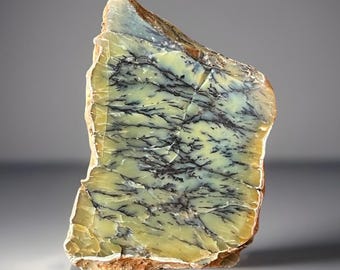 Dendritic Opal Specimen from Australia: Natural Half Polished Crystal (286)