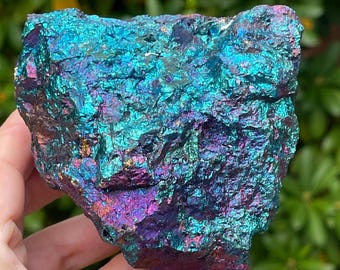 Peacock Ore Bornite from Chihuahua, Mexico: XL Cabinet Size