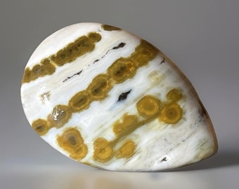 Orbicular Ocean Jasper Flat Back - Cabochon Gemstone (252)
