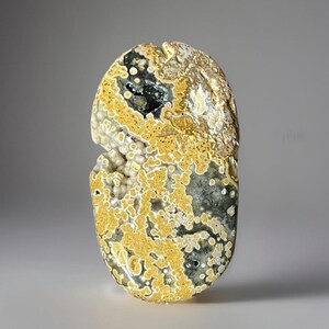 Bold Yellow Ocean Jasper Palmstone • Vein 2 Rare Madagascar Jasper • Orbicular Ocean Jasper with Druzy Caverns • Collector Crystal Stone