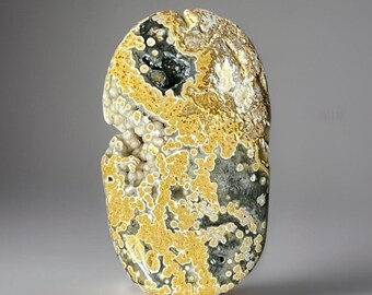 Bold Yellow Ocean Jasper Palmstone • Vein 2 Rare Madagascar Jasper • Orbicular Ocean Jasper with Druzy Caverns • Collector Crystal Stone