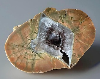 Australian Thunder egg – Polished Collector Crystal, Natural Agate Geode Specimen, Agate Freeform Nodule