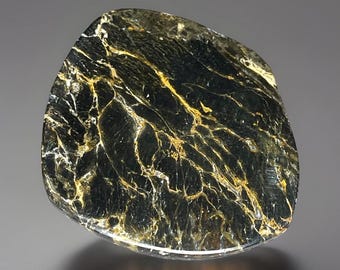 Pietersite Abstract Freeform Flat Crystal: Rare Natural Collectors Rock Specimen (302)