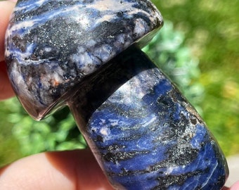 Sodalite Big Mushroom, Blue Sodalite AAA Grade crystal carving | Mushroom Home Decor