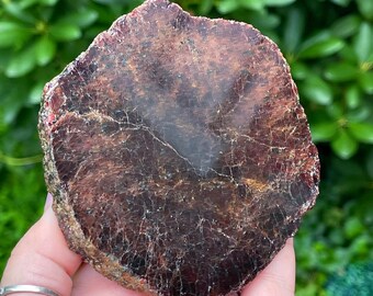 Garnet Large Slab,  Rare Collectible Crystal, Huge Garnet Slice