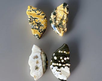 8th Vein Ocean Jasper Butterfly Wings, Madagascar Ocean Jasper Wing, Oj Butterfly Carving