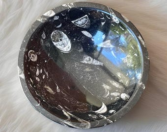 Goniatite Fossil XL Bowl, Cephalodod - Collectors Fossil Atlas Mountains of Morocco, Beautifully Preserved & Polished