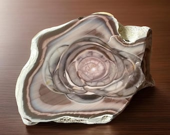 Imperial Jasper Specimen • Rare Sonora Mexico Jasper • Abstract Rose Pattern • Lapidary Material • Collector Grade Jasper