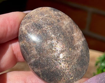 Lattice Black Sunstone Palm stone , AAA Grade Crystal Gifts, Rare Rainbow Confetti sunstone, #72