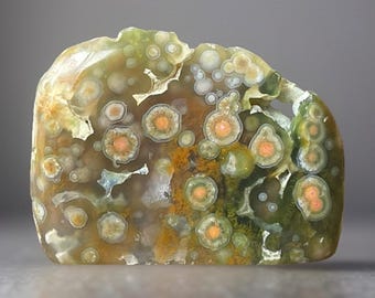 Old Stock Ocean Jasper Freeform - Rare Vintage Vein 1-2, Original Madagascar Bubble Jasper, Orbicular Jasper Founders Vault Release (344)