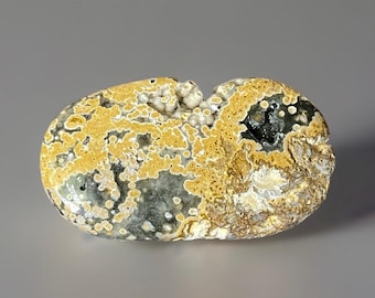 Bold Yellow Ocean Jasper Palmstone • Vein 2 Rare Madagascar Jasper • Orbicular Ocean Jasper with Druzy Caverns • Collector Crystal Stone