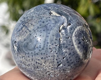 Blue Coral Sphere, Unique Natural Fossil Ball ( 338)