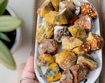 Shades of Orange & Yellow Ocean Jasper Raw Stones | Bubble OJ | Rough Crystal | Orbicular Jasper Crystal gifts | Unique Crystal Decor