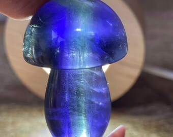 Blue Fluorite Mushroom with Rainbows , HQ Crystal Carving’s, AAA Grade Green Blue Fluorite