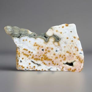 May include: A polished, irregularly shaped stone with a white base, featuring intricate patterns of yellow, brown, and gray. The stone has a unique, organic form, with a textured surface and a mix of colors and patterns.