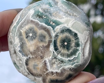 Old Stock Ocean Jasper Freeform Palm, Rare Private Collection Release - Madagascar Bubble Jasper, Orbicular Jasper Vein 1