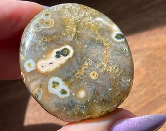 Orbicular Ocean Jasper Button Palmstone, Marovato Jasper Crystal, Collectors Unique Ocean Jasper with Quartz