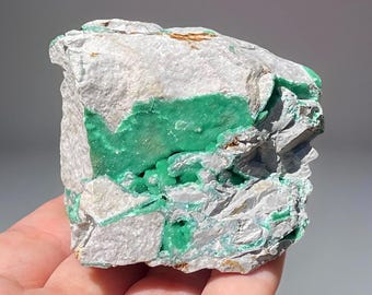 Rare VARISCITE micro-crystallized Cabinet Size Specimen - De Linde Claim Buckville, Arkansas
