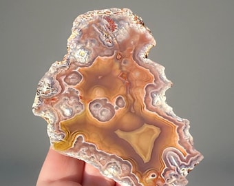 Laguna Agate Nodule – Hand polished Polished Front, Rare Mexico Agate