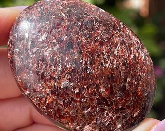 Garnet Palm stone with Mica, Unique & Rare Crystal Gifts - No.30