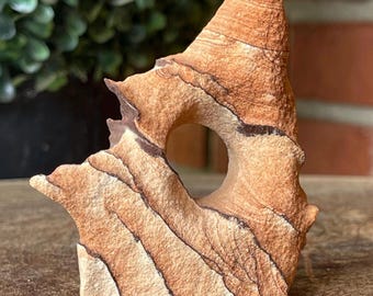Arizona Sandstone Freeform, Natural Stone Sculpture 3 inches, Crystals for Gifting Collecting & Decorating