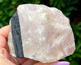 Black Tourmaline in Rose Quartz Large Specimen, Premium Pink Quartz & Tourmaline Rough Crystal from Madagascar, Natural  Unpolished Rock