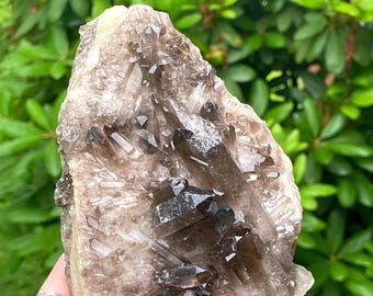 Smoky Quartz Crystal XLarge Cluster, Collector Specimen for Activation, Meditation, Grids & Display, Statement Chocolate Brown Quartz