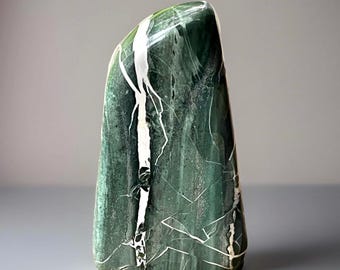 Spectacular Green Jasper Polished Large Freeform – Green Zebra Crystal Statement – Natural Unique Rocks