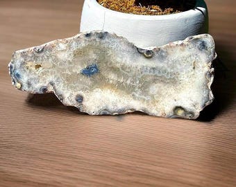 Argentina agate XL Crystal Slab - Natural Colorful Rare Agate with Floral Quartz Formations