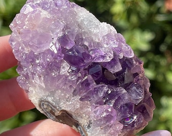 Amethyst Cluster, Uruguayan Natural Amethyst Crystal Specimen