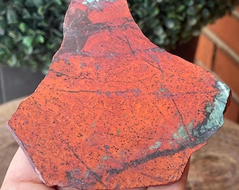 Sonora Sunrise Slab, Chrysocolla & Red Cuprite Lapidary Specimen from Mexico (20)