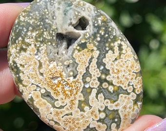 Orbicular Ocean Jasper Palmstone: Madagascar Crystal Pocket Rock (77)