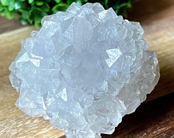 Fairy Quartz Flower Cluster • Spirit Quartz Specimen • Unique Natural Minerals & Crystals