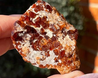 Grossular Garnet cluster on matrix from Micastro mine, California Natural old stock Garnet Specimen
