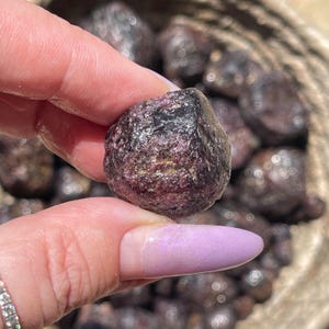 May include: A close-up of a rough, dark purple gemstone with a textured surface. The stone is held between fingers, with other similar stones visible in the background. The gemstone has a mix of dark purple and pink hues.