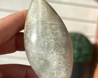 Green Moonstone Flame with Silver Flash -  Unique Crystal Gifts - HQ Rare Crystal Find - Silky Sage Green Moonstone