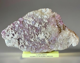 Purple Fluorite & Baryte – Coldwell Stone Quarry, Kentucky, Natural Fluorescent Cubic Mineral Specimen, USA Locality Collectors Fluorite