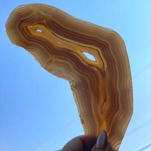 May include: A translucent, irregularly shaped agate slice featuring concentric bands of amber, tan, and cream colors. The mineral specimen displays natural, hollow crystalline voids within its center, illuminated by light passing through the stone.